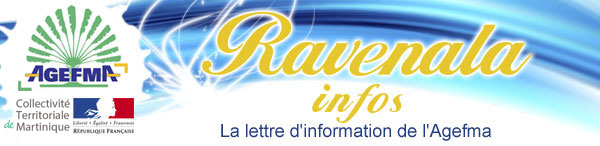 http://www.agefma.org/ravenala/images/haut.jpg